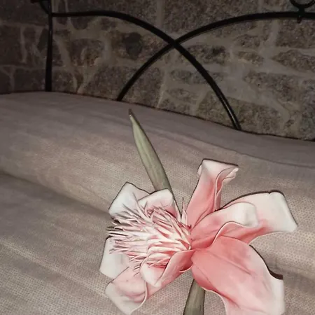 Parole Di Sardegna Casa de hóspedes 4*